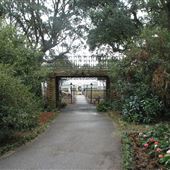 Bellingrath Gardens- Conservatory/Rose Garden