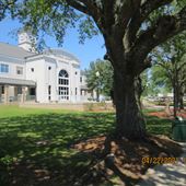 Bay Minette Downtown