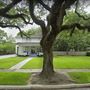 Macy Place