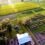 Hillcrest Farms - Draft