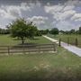 Timothy Family Farm - Draft