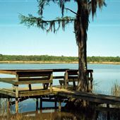Historic Blakeley State Park - Forest Walking Path