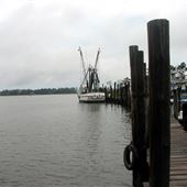 Billy's Seafood - Bon Secour