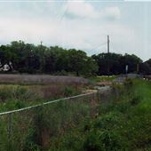 Royal Oaks / Coden Loop Rd.
