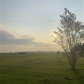 Purley Pastured Farm - Draft