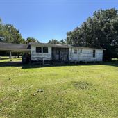 Bayou Cora Farms
