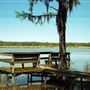 Historic Blakeley State Park - Forest Walking Path