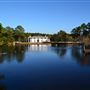 Cypress Lake