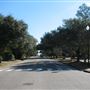 Fairhope Homes Overlooking Fairhope Pier