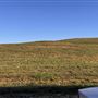 Magnolia Landfill