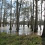 Live Oak Landing