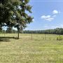 Mason Hills Farm