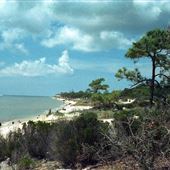 Dauphin Island Bird Sanctuary-Beach