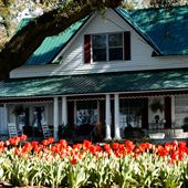Fairhope Homes