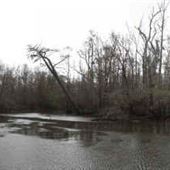 Mobile - Tensaw River Delta