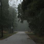 Dauphin Island - Conti St.