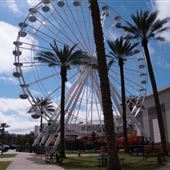 The Wharf Orange Beach