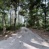 Dauphin Island Bird Sanctuary
