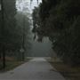 Dauphin Island - Conti St.