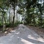 Dauphin Island Bird Sanctuary