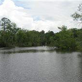 Bayou Sara Creek Boat Launch