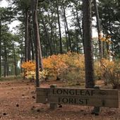 Longleaf Forest Mobile Botanical Gardens