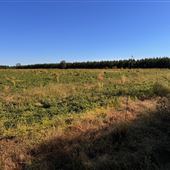 Baldwin County Rd 32 - Grass Plains