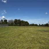 Open Fields - Loxley