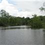 Bayou Sara Creek Boat Launch