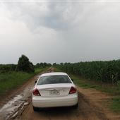 Cornfields- Hwy. 28/Co.Rd.55