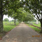 Magnolia Cemetery