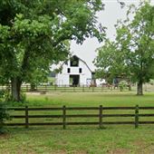 Barn