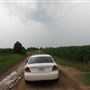 Cornfields- Hwy. 28/Co.Rd.55