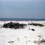 Dauphin Island - Sand Island Beach