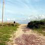 Fort Morgan Old Fishing Pier