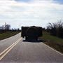 Hwy 55- Baldwin County
