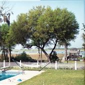 Home-Pool overlooking Bay