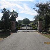 Point Clear Polo Club Rd.