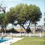 Home-Pool overlooking Bay
