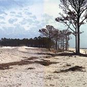 Dauphin Island Beach- Coast Guard Homes