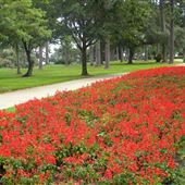 Fairhope - South Mobile Street Park