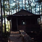 Gravine Island Fish Camp