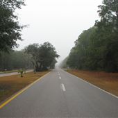 Dauphin Island-Bienville Blvd.