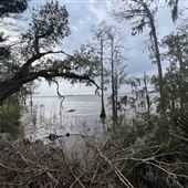 Historic Blakeley State Park