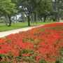 Fairhope - South Mobile Street Park