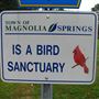 Magnolia Springs