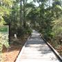 Bon Secour Wildlife Refuge