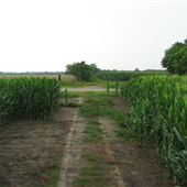 Bartel's Fields