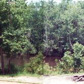 Byrnes Landing