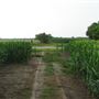 Bartel's Fields